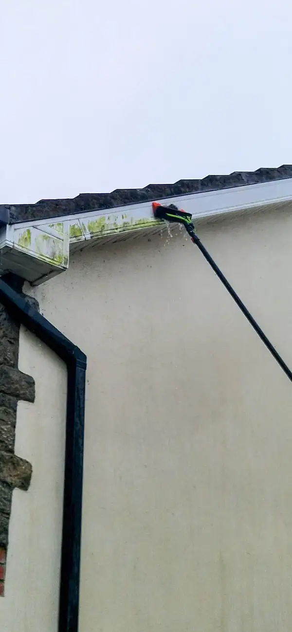 Soft Washing in Limerick