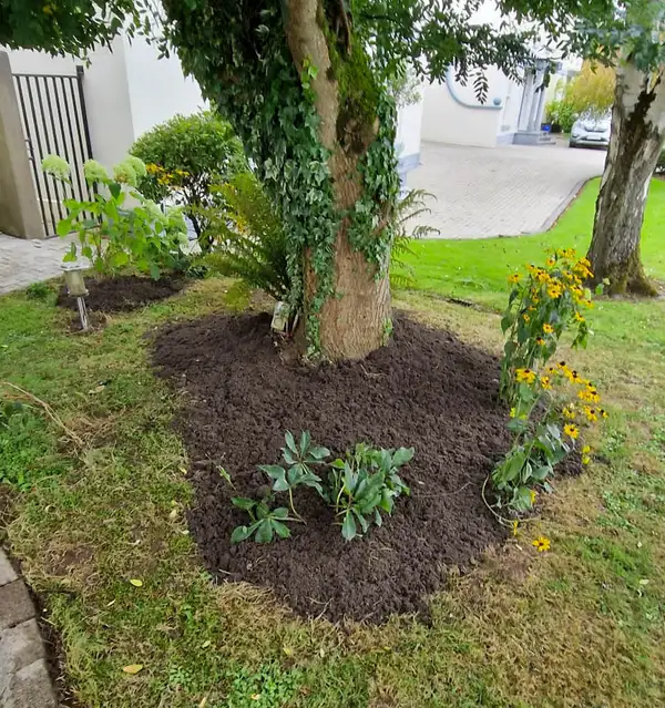 Flower beds and tree care